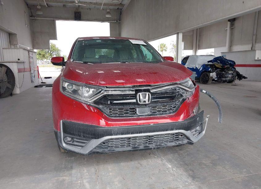 Photo 12 of 2021 Honda Cr-v 2WD EX (VIN 5J6RW1H5XMA009438)
