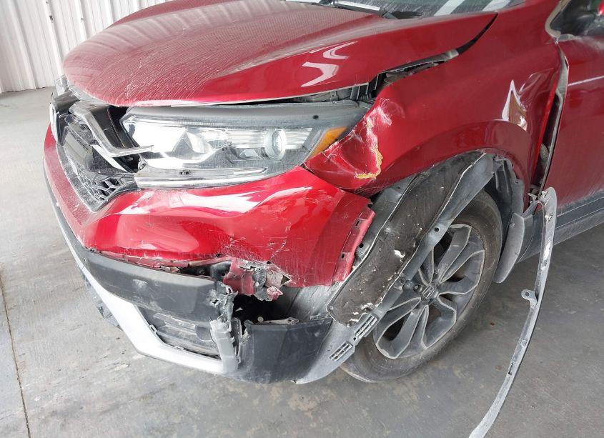 Photo 6 of 2021 Honda Cr-v 2WD EX (VIN 5J6RW1H5XMA009438)