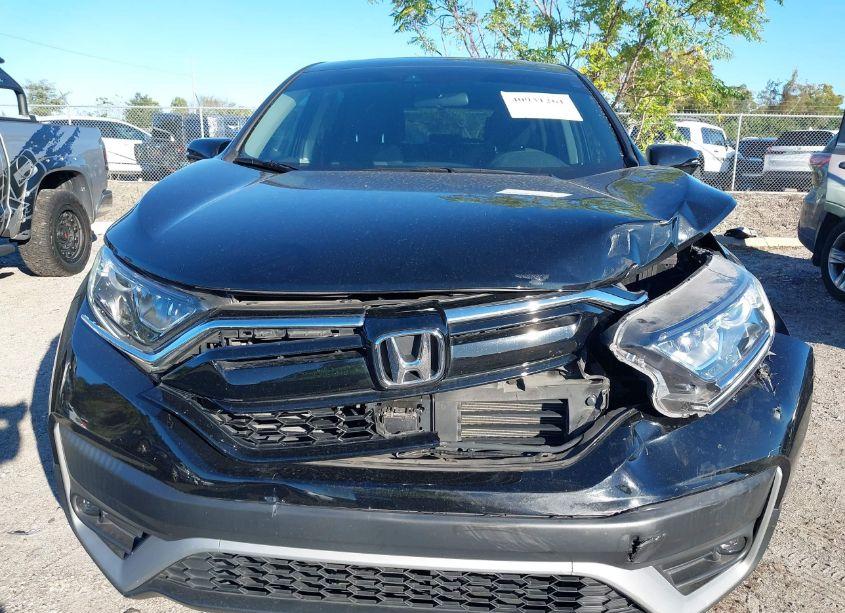 Photo 12 of 2022 Honda Cr-v 2WD EX (VIN 5J6RW1H5XNA016505)