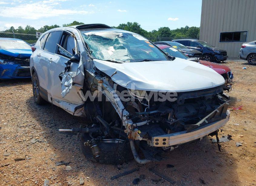 2020 Honda Cr-v 2WD EX-L (VIN 5J6RW1H80LA016200) main photo