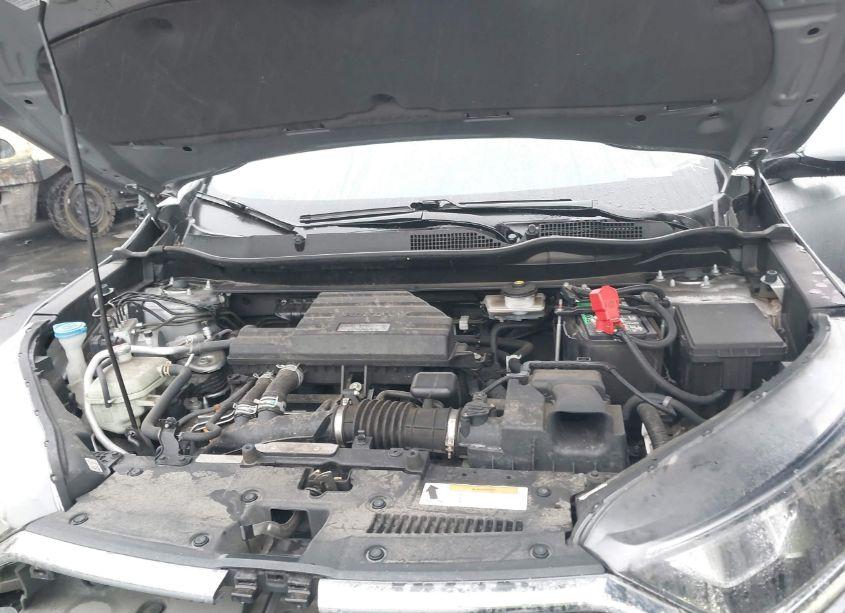 Photo 10 of 2019 Honda Cr-v EX-L (VIN 5J6RW1H85KA033220)