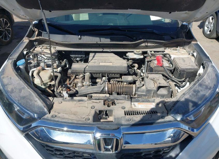 Photo 10 of 2019 Honda Cr-v EX-L (VIN 5J6RW1H86KA028317)