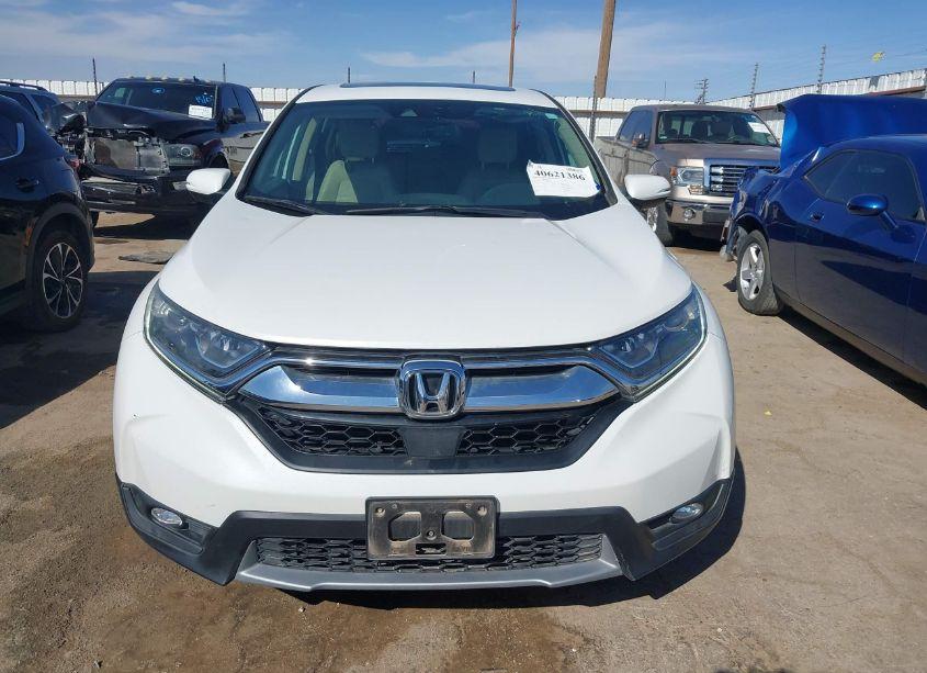 Photo 12 of 2019 Honda Cr-v EX-L (VIN 5J6RW1H86KA028317)