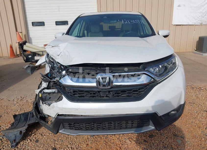 Photo 12 of 2019 Honda Cr-v EX-L (VIN 5J6RW1H87KL006234)