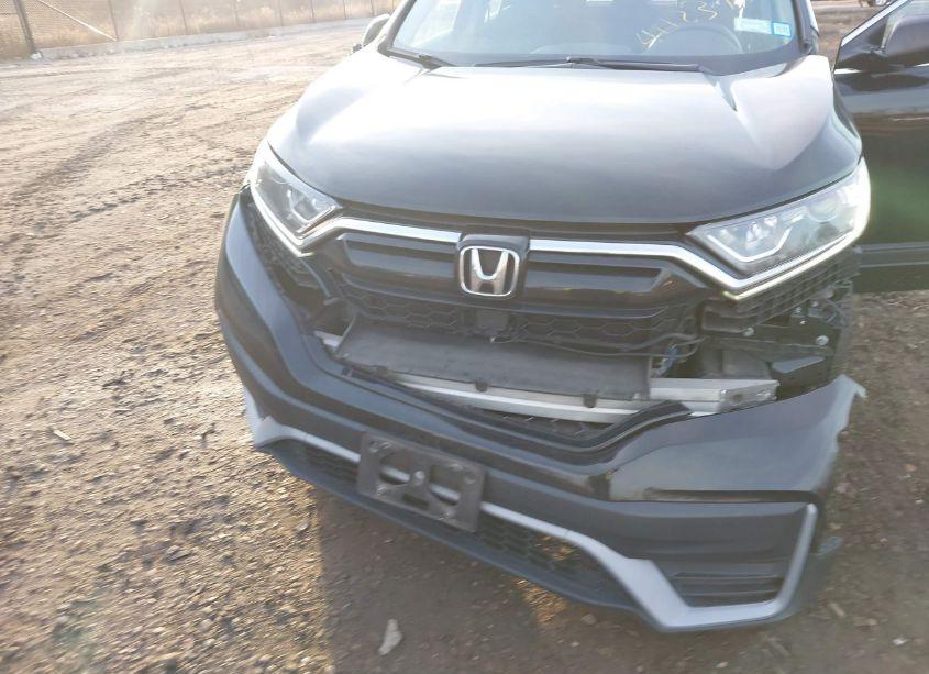 Photo 6 of 2020 Honda Cr-v AWD LX (VIN 5J6RW2H20LL000651)