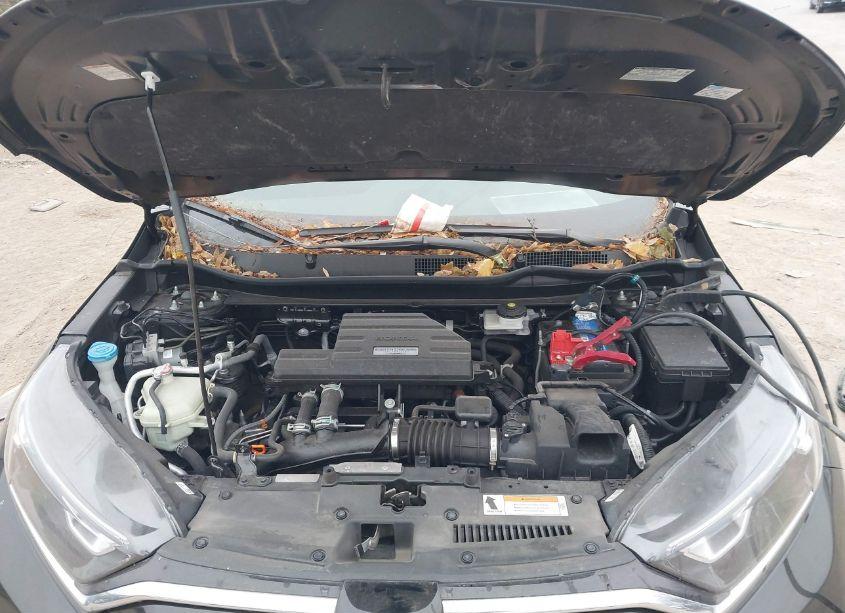 Photo 10 of 2020 Honda Cr-v AWD LX (VIN 5J6RW2H2XLL005761)