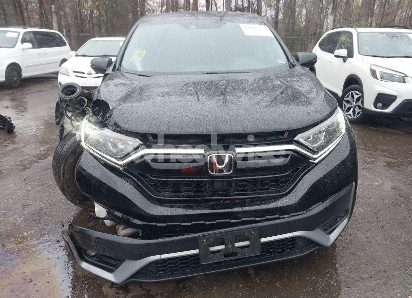 Photo 12 of 2020 Honda Cr-v AWD EX (VIN 5J6RW2H50LA009355)