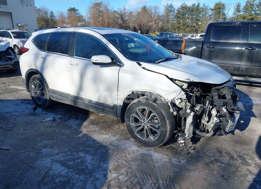 2020 Honda Cr-v AWD EX (VIN 5J6RW2H50LA020467) main photo