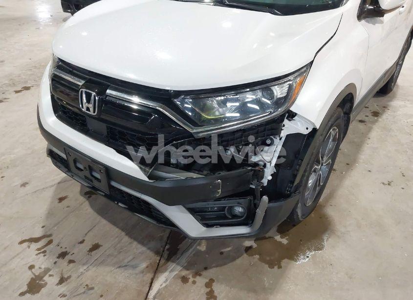 Photo 6 of 2020 Honda Cr-v AWD EX (VIN 5J6RW2H52LL044645)