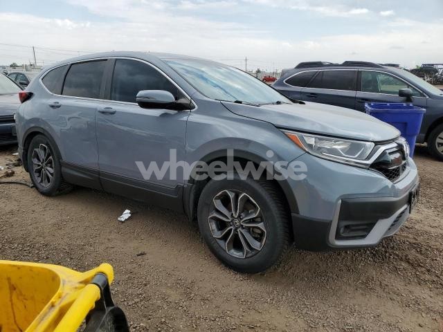 Photo 12 of 2021 HONDA CR-V EX (VIN 5J6RW2H52ML006057)