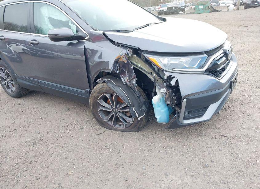 Photo 6 of 2022 Honda Cr-v AWD EX (VIN 5J6RW2H53NA007974)