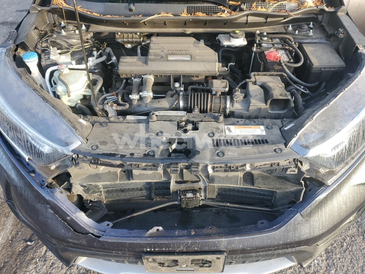 Photo 11 of 2019 HONDA CR-V EX (VIN 5J6RW2H57KA010176)