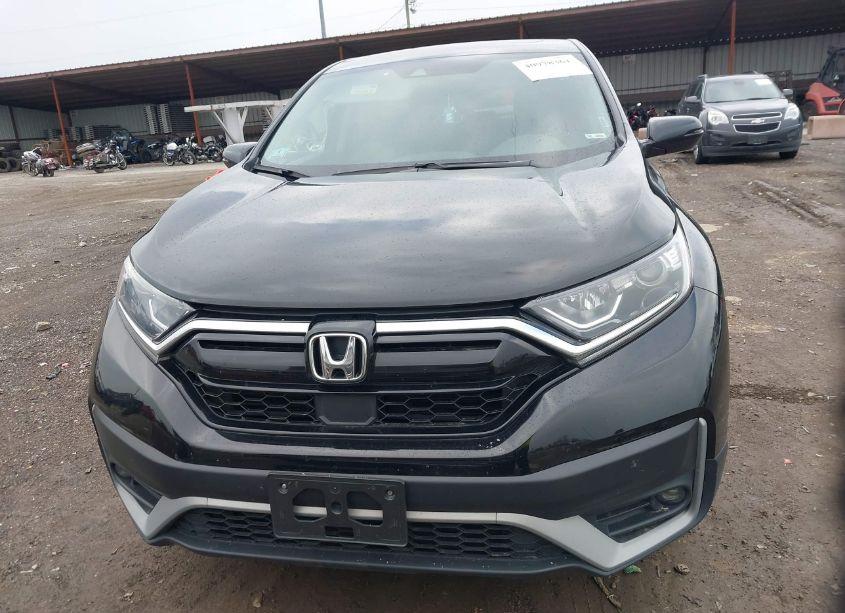 Photo 12 of 2022 Honda Cr-v AWD EX (VIN 5J6RW2H57NA009243)
