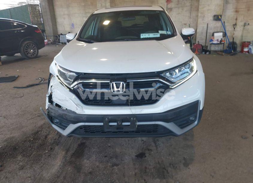 Photo 12 of 2020 Honda Cr-v AWD EX (VIN 5J6RW2H5XLA018189)