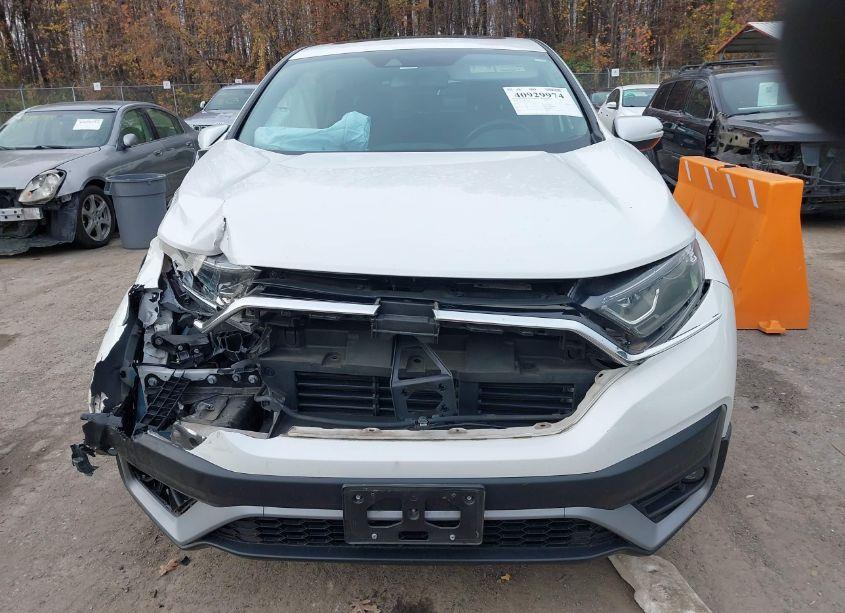 Photo 13 of 2020 Honda Cr-v AWD EX-L (VIN 5J6RW2H81LA019015)