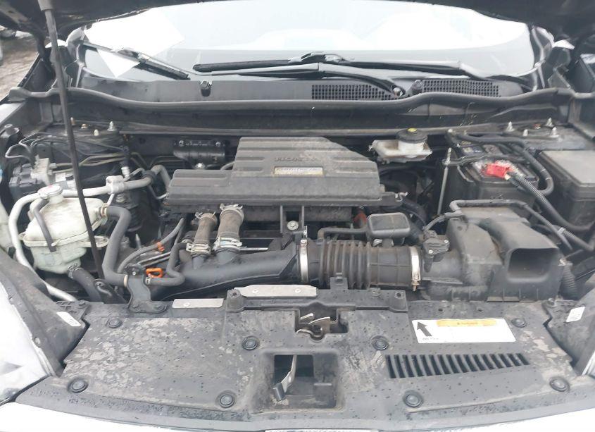 Photo 10 of 2019 Honda Cr-v EX-L (VIN 5J6RW2H82KL032679)