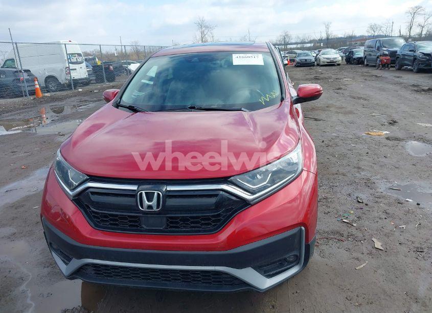 Photo 12 of 2021 Honda Cr-v AWD EX-L (VIN 5J6RW2H82ML010040)
