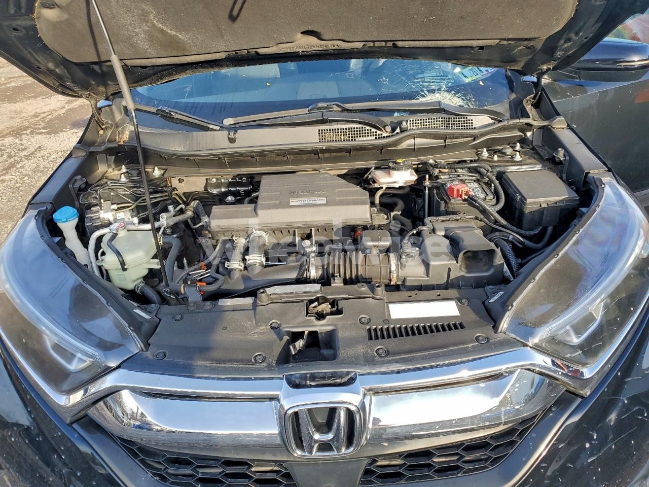 Photo 12 of 2019 HONDA CR-V EXL (VIN 5J6RW2H86KL007414)