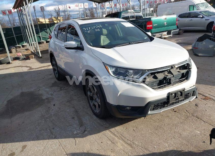 2019 Honda Cr-v EX-L (VIN 5J6RW2H86KL009468) main photo