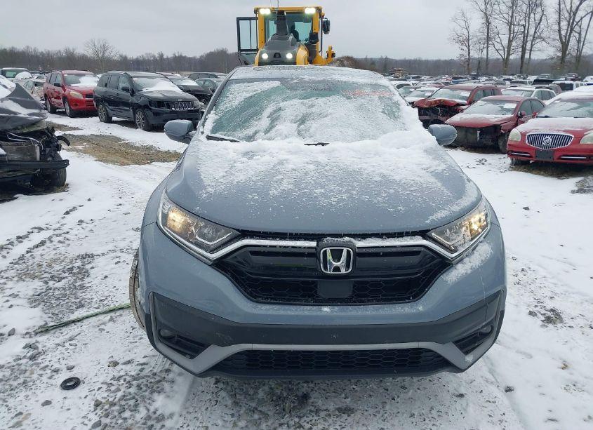 Photo 12 of 2022 Honda Cr-v AWD EX-L (VIN 5J6RW2H86NA005131)