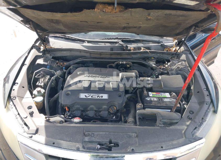 Photo 10 of 2010 Honda Accord CROSSTOUR EX (VIN 5J6TF1H37AL004959)