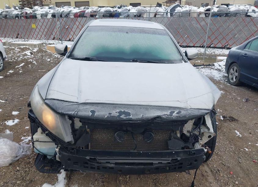 Photo 13 of 2010 Honda Accord CROSSTOUR EX-L (VIN 5J6TF1H50AL800017)