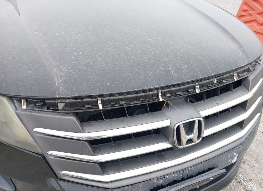 Photo 6 of 2011 Honda Accord CROSSTOUR EX-L (VIN 5J6TF1H53BL000460)