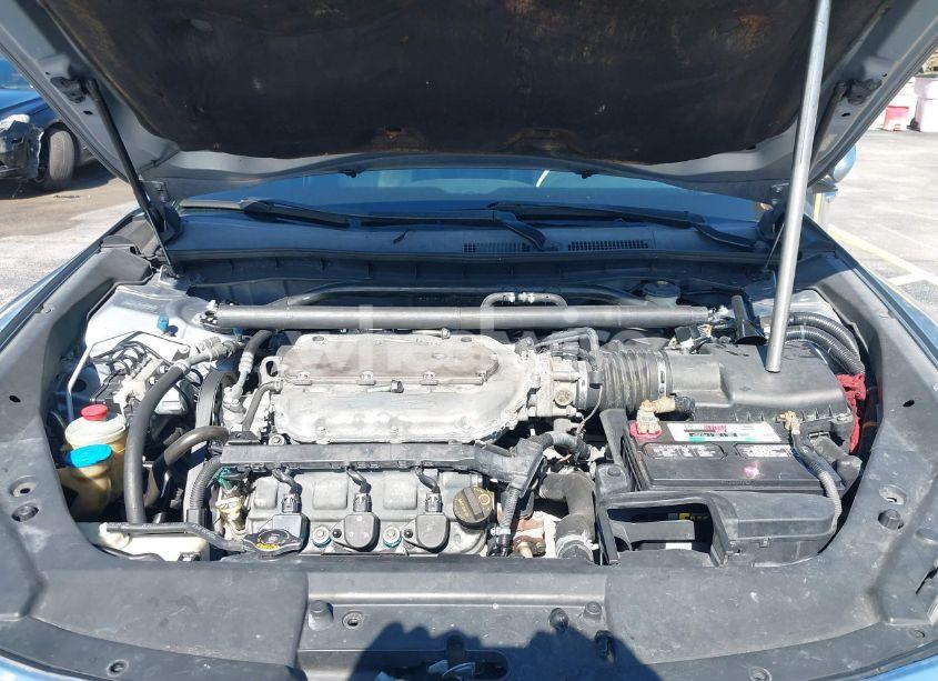 Photo 10 of 2010 Honda Accord CROSSTOUR EX-L (VIN 5J6TF1H5XAL002799)