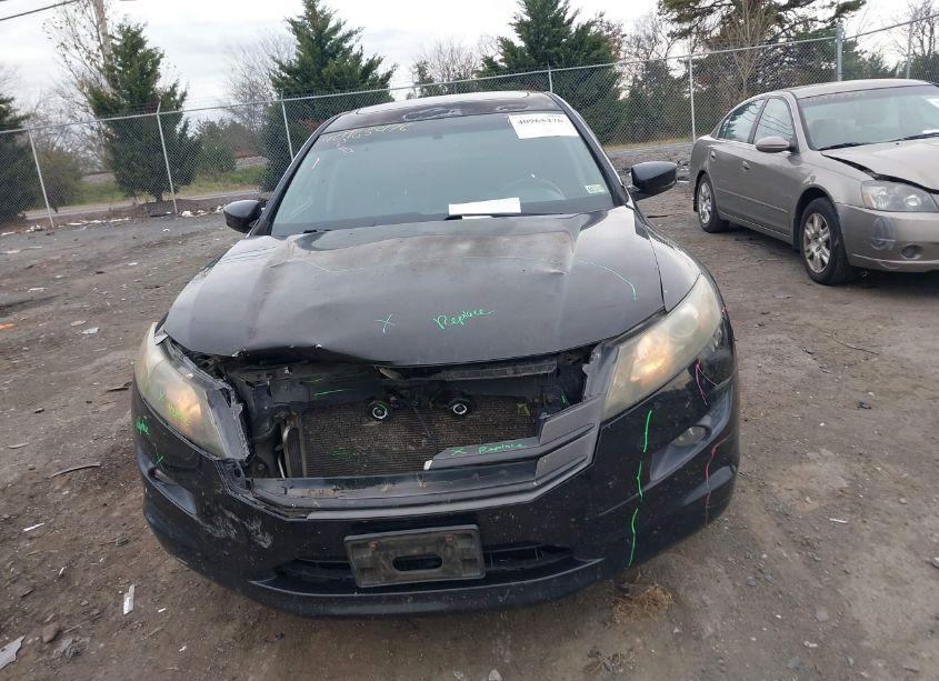 Photo 12 of 2010 Honda Accord CROSSTOUR EX-L (VIN 5J6TF2H51AL012126)