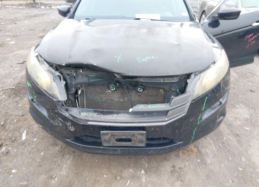 Photo 6 of 2010 Honda Accord CROSSTOUR EX-L (VIN 5J6TF2H51AL012126)
