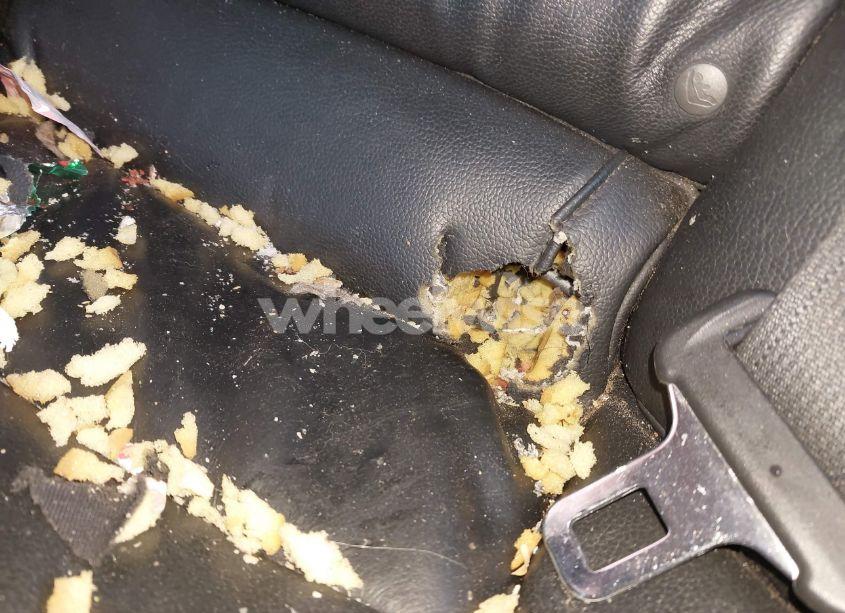 Photo 6 of 2010 Honda Accord CROSSTOUR EX-L (VIN 5J6TF2H53AL001094)