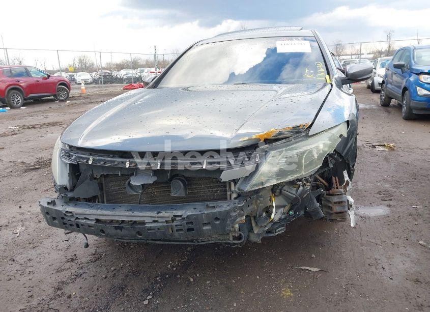 Photo 6 of 2011 Honda Accord CROSSTOUR EX-L (VIN 5J6TF2H53BL002733)