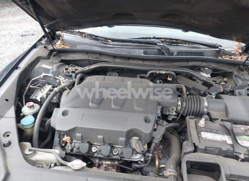 Photo 10 of 2010 Honda Accord CROSSTOUR EX-L (VIN 5J6TF2H54AL000875)