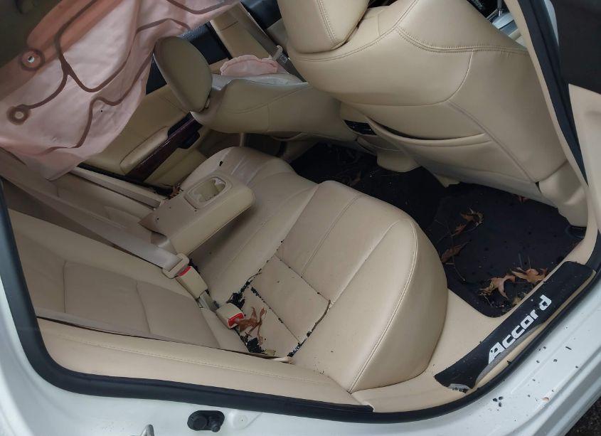 Photo 8 of 2011 Honda Accord CROSSTOUR EX-L (VIN 5J6TF2H59BL006592)