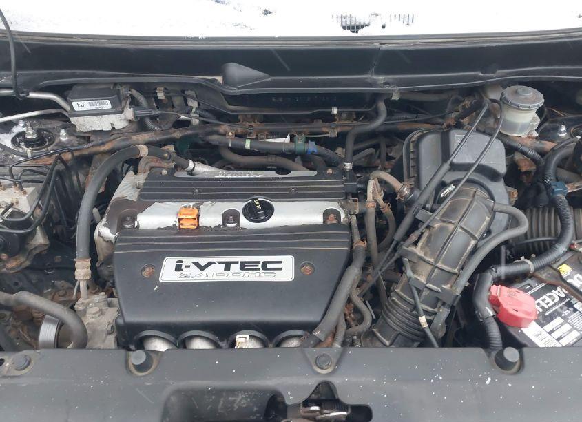 Photo 10 of 2003 Honda Element EX (VIN 5J6YH17503L011872)