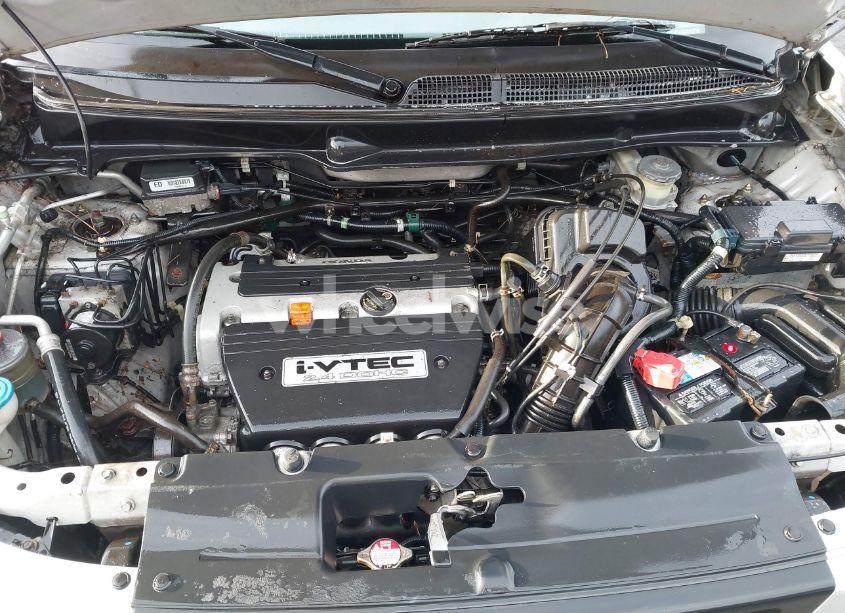 Photo 10 of 2006 Honda Element EX-P (VIN 5J6YH17786L001760)