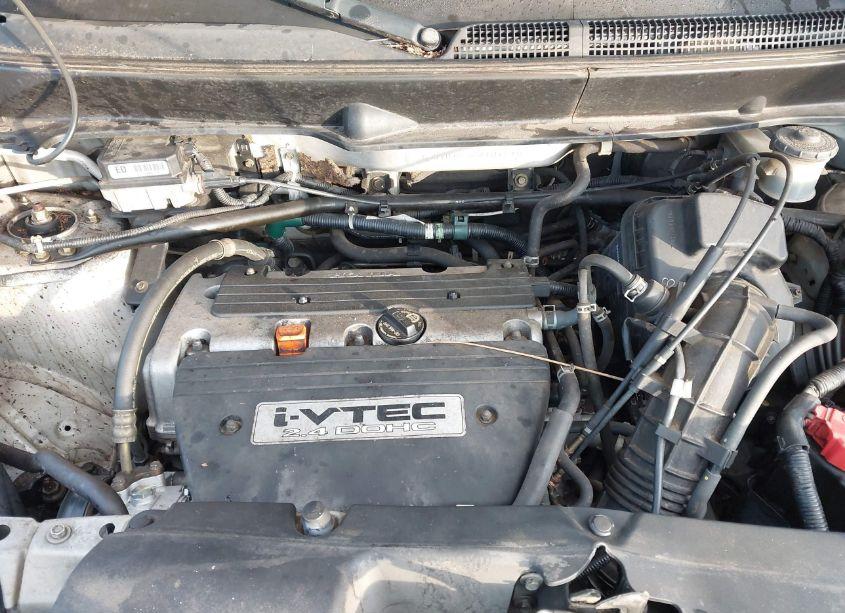 Photo 10 of 2005 Honda Element LX (VIN 5J6YH18305L016246)