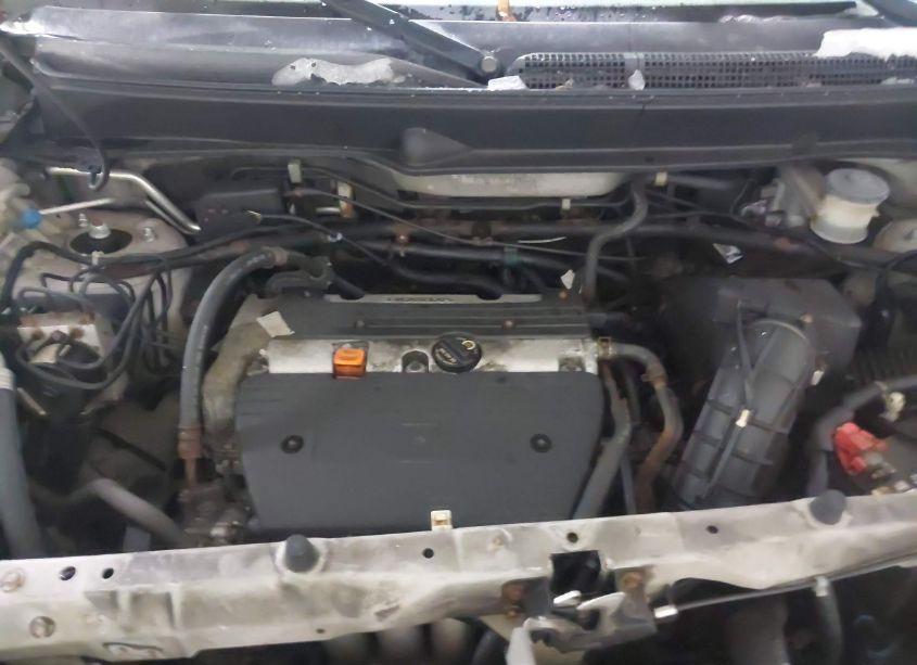 Photo 10 of 2008 Honda Element LX (VIN 5J6YH18328L005477)