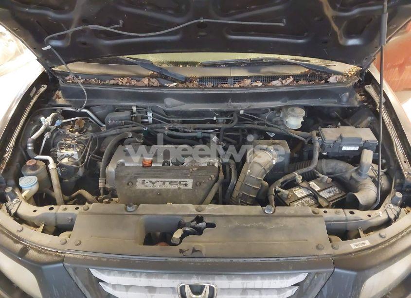 Photo 10 of 2008 Honda Element LX (VIN 5J6YH18328L012283)