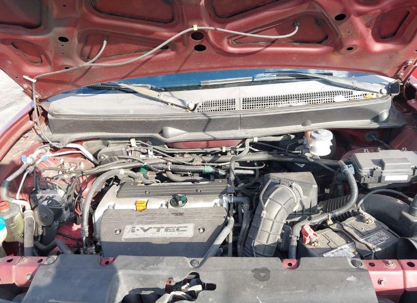 Photo 10 of 2008 Honda Element LX (VIN 5J6YH18338L015287)