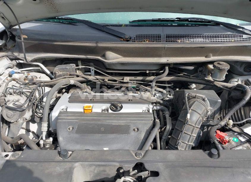 Photo 10 of 2008 Honda Element LX (VIN 5J6YH18348L002452)