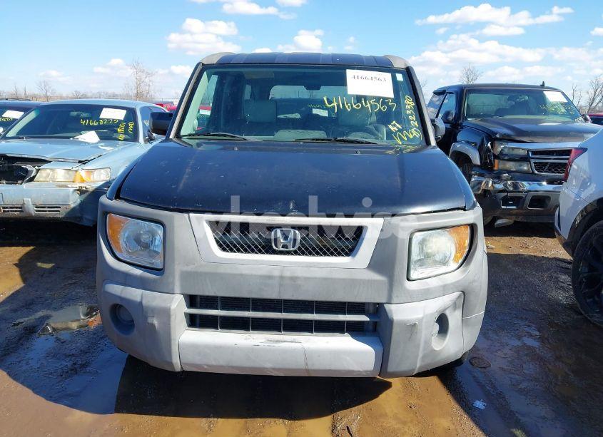 Photo 6 of 2005 Honda Element LX (VIN 5J6YH18365L011536)