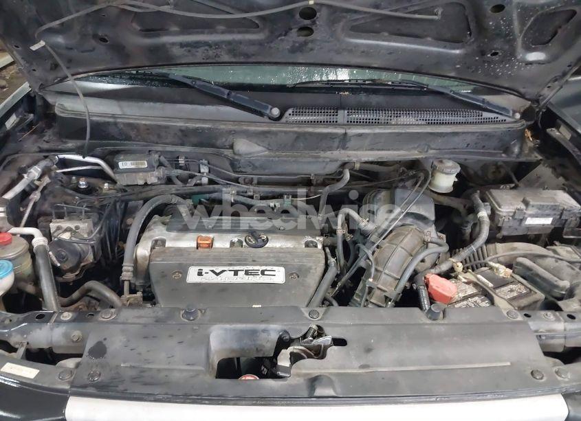 Photo 10 of 2006 Honda Element EX (VIN 5J6YH18626L015286)