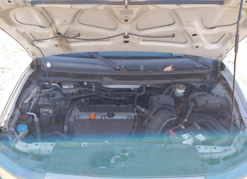 Photo 10 of 2005 Honda Element EX (VIN 5J6YH18655L003485)