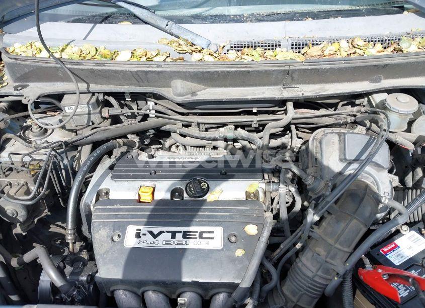 Photo 10 of 2006 Honda Element EX (VIN 5J6YH18656L003505)