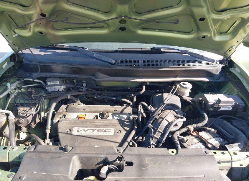 Photo 10 of 2006 Honda Element EX-P (VIN 5J6YH18706L004781)