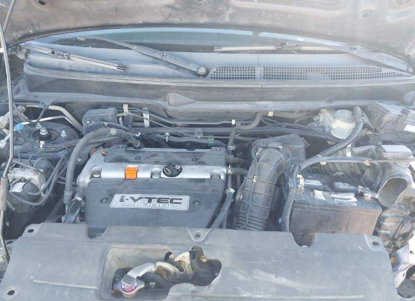 Photo 10 of 2008 Honda Element EX (VIN 5J6YH18708L000443)