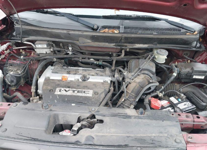 Photo 10 of 2006 Honda Element EX-P (VIN 5J6YH18716L008712)