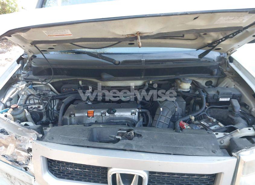 Photo 10 of 2009 Honda Element EX (VIN 5J6YH18719L002431)