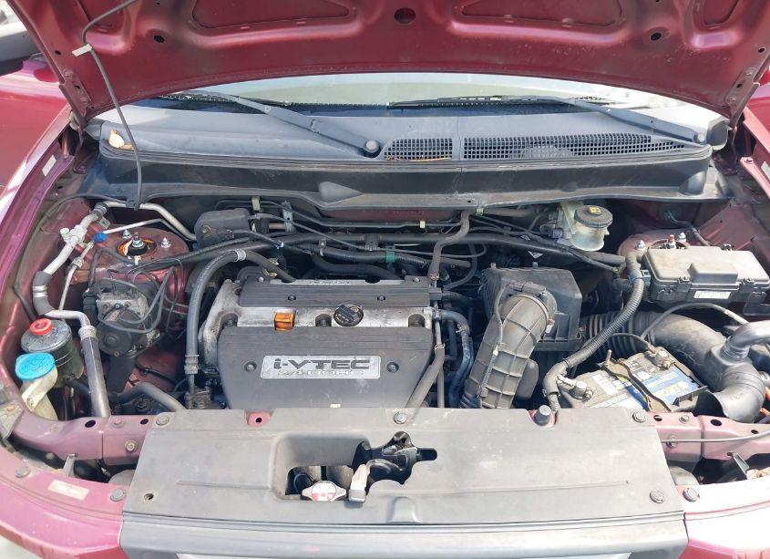 Photo 10 of 2008 Honda Element EX (VIN 5J6YH18738L006463)